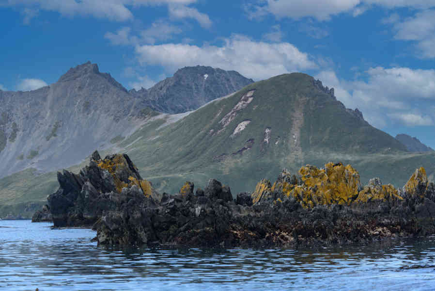 Islas Georgias del Sur 094.jpg